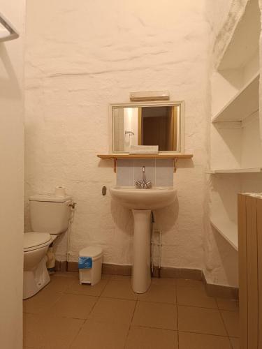 グロスピエールにあるGîte #9, 4 Pers, Domaine De Ribiereの洗面台、鏡、トイレ付きのバスルーム
