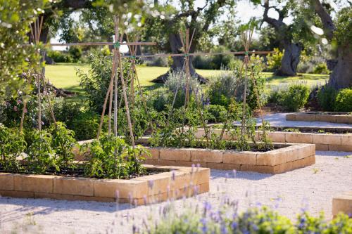 a garden with four raised beds with plants at Trulli Damari in Locorotondo