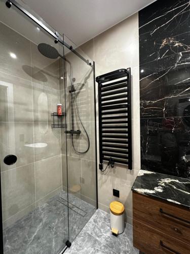 a bathroom with a shower with a glass door at Verde Klon Apartment- Lotnisko Jasionka in Jasionka
