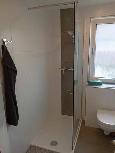 a bathroom with a shower and a toilet at Ferienwohnung Greinert in Bad Pyrmont
