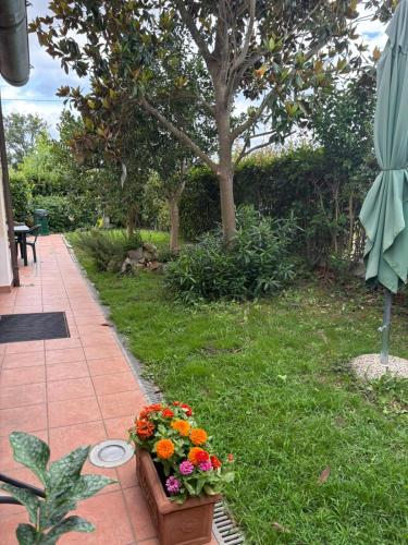Κήπος έξω από το Guest House Fiore di Loto