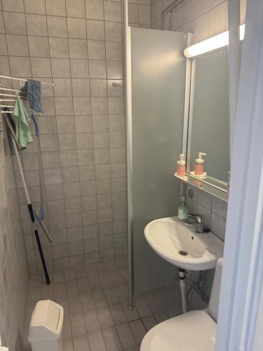 a bathroom with a sink and a toilet and a mirror at Hotelli Terme 614 in Ikaalinen