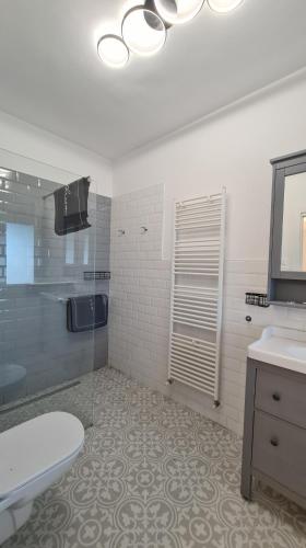 a bathroom with a shower and a toilet and a sink at Coccinella studio apartment Le Valli in Pieve