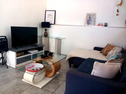 TV a/nebo společenská místnost v ubytování coeur de village