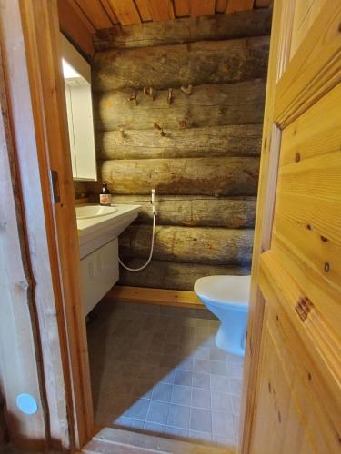 a bathroom with a wooden wall with a sink and a toilet at Chalet Luoston Lustitupa 3 in Luosto