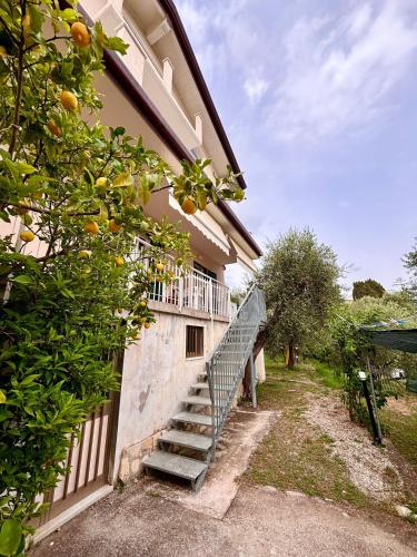 a staircase leading to a building with an orange tree at Charming Tuscany in Corsanico-Bargecchia