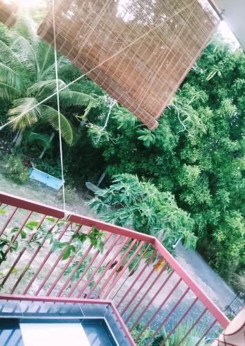 an overhead view of a garden with plants at Jolie studette dans un environnement arboré in Les Abymes