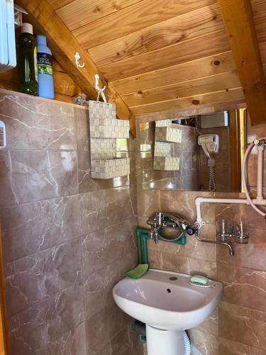 a bathroom with a sink and a toilet at Wooden house in Šavnik