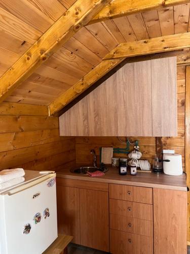 a kitchen with a white refrigerator and a sink at Wooden house in Šavnik