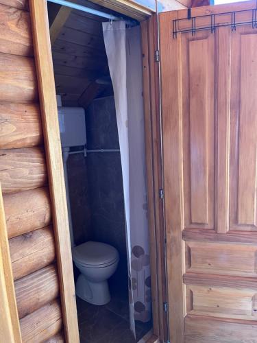 a bathroom with a toilet in a wooden cabin at Wooden house in Šavnik