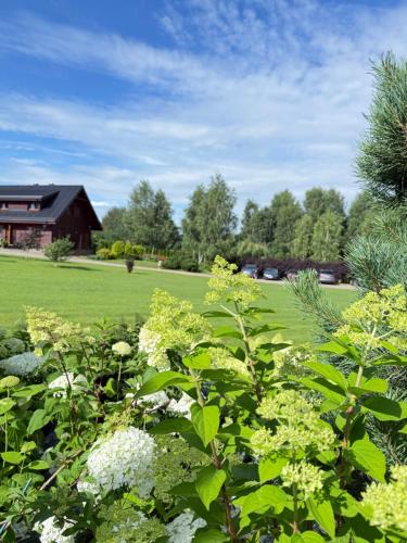 a garden with flowers and a house in the background at Vila Viesai in Trakai