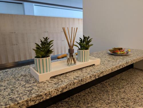 three plants in vases sitting on a counter at Bed'n Go in Bregenz