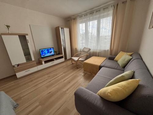 a living room with a couch and a tv at PA - Peaceful Parkside Apartment in KoÅ¡ickÃ© KÃºpele