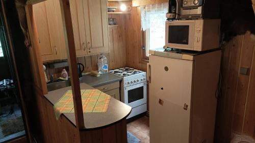 a small kitchen with a refrigerator and a stove at Chata Masařka in Nivnice