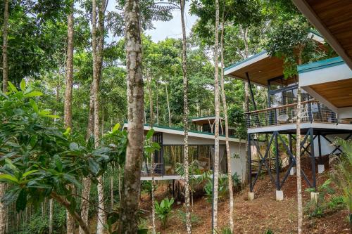 a house in the woods with a tree at Pandanus Lodge & Retreats Bungalow Gingiber in Cariblanco