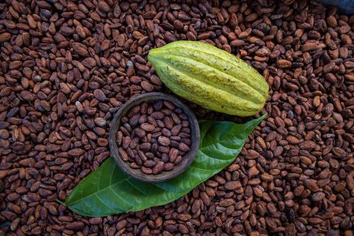 a pod of coffee beans and a green leaf at Pandanus Lodge & Retreats Bungalow Gingiber in Cariblanco