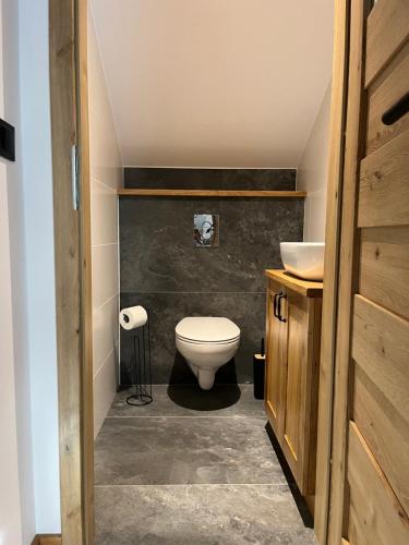 a bathroom with a toilet and a sink at Siedlisko pod Lasem in Józefów