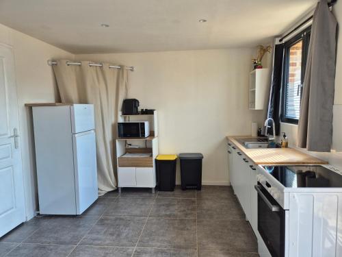 a kitchen with a white refrigerator and a sink at Camelia in Saint-Nicolas-dʼAliermont