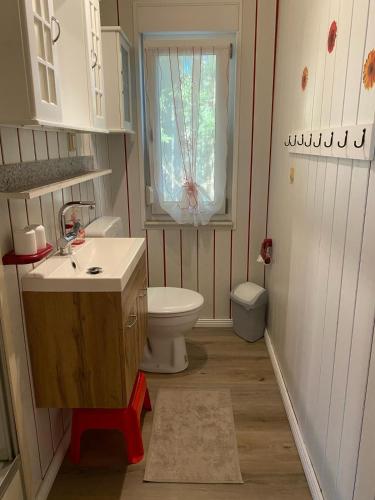 a bathroom with a toilet and a sink and a window at Ferienhaus am Wald in Friedrichroda