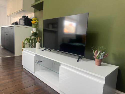 TV a/nebo společenská místnost v ubytování Cosy 3 Bedroom Apartment in Newcastle