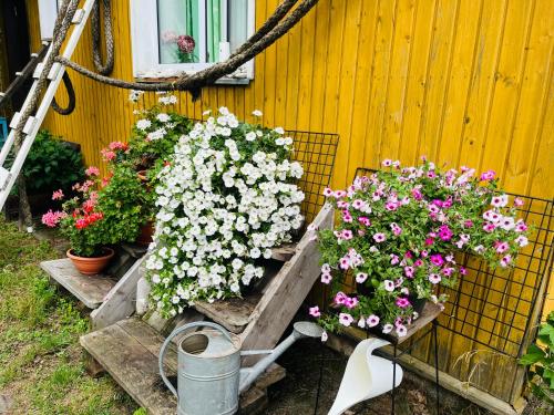 a bunch of flowers in a planter next to a building at Torgu Royal Guesthouse in Iide