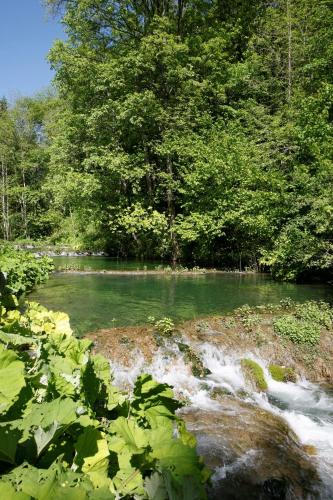 a stream of water with trees in the background at Ferienwohnungen Holder in Anhausen