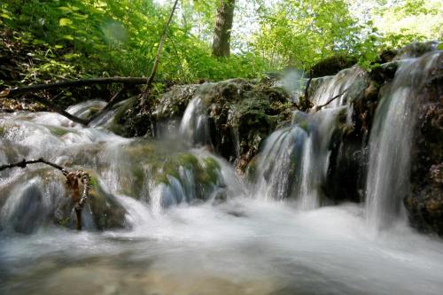 a stream of waterfalls in a forest with trees at Ferienwohnungen Holder in Anhausen