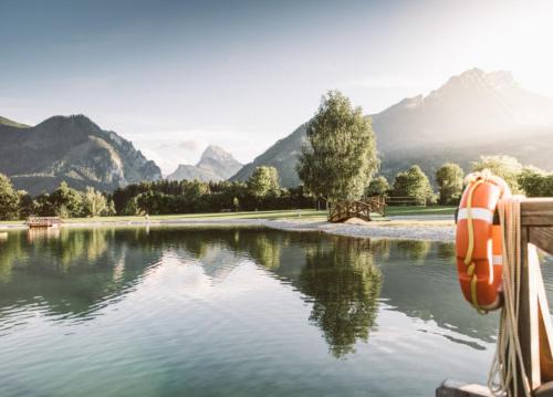 a view of a lake with mountains in the background at Ferienwohnung im Dörfl in Mooslandl