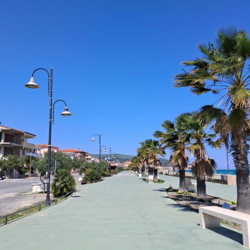 a sidewalk with palm trees and a street light at Bella Italia in Marina di Strongoli