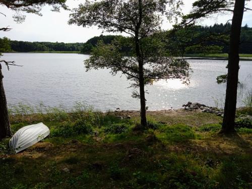 Paesaggio naturale nelle vicinanze della casa vacanze