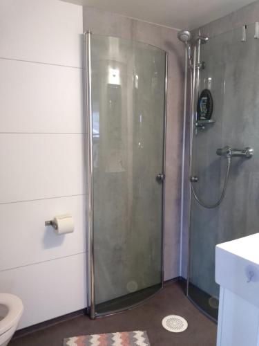 una doccia con una porta in vetro in un bagno di Tiny house in scenic surroundings a Farsund