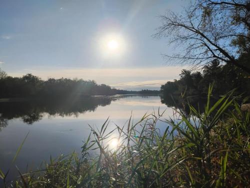a view of a lake with the sun in the sky at The River Cabin in Mauston
