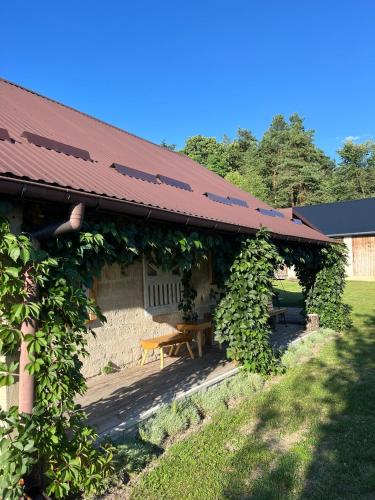 a building covered in ivy with a picnic table at Siedlisko pod Lasem in Józefów