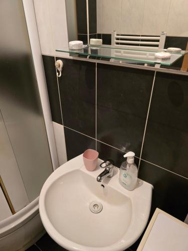 Ванная комната в Gold apartman Veliko Gradiste