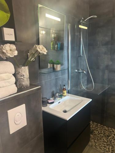un baño con lavabo y ducha en Duplex F4-2 balcons face a la mer, en Ajaccio