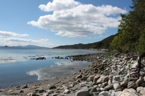 a rocky beach with trees and the water at Tustna Ladestasjon in Hals