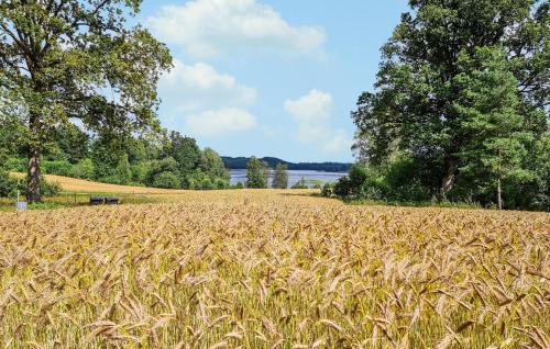 a field of tall grass with trees and a lake at 2 Bedroom Gorgeous Home In Broaryd in Broaryd