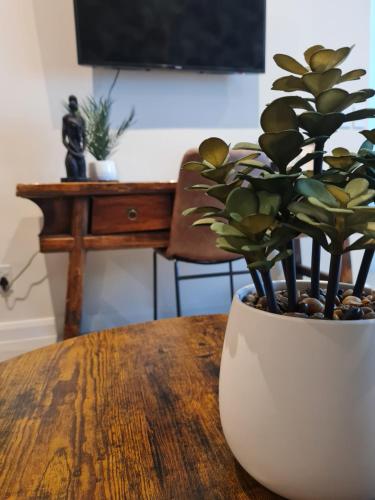 a plant in a white vase sitting on a table at Luxury Menlyn Maine Apartment in Pretoria