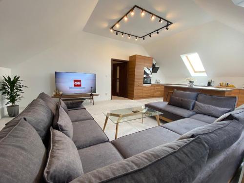 a living room with a large couch and a tv at Strzyzewo Witkowskie Luxury Apartment in Strzyżewo Witkowskie