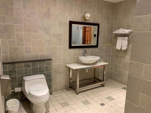 a bathroom with a toilet and a sink and a mirror at Langkei Motel in Daxi