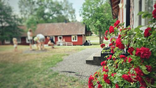 a house with red flowers on the side of it at Orrefors Vandrarhem in Nybro