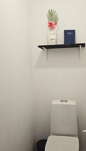 a bathroom with a toilet with a shelf above it at Orrefors Vandrarhem in Nybro