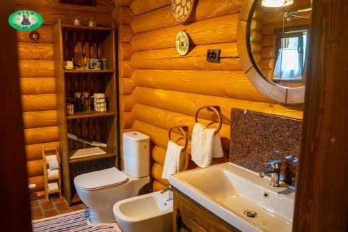 a bathroom with a toilet and a sink in a log cabin at Vila Pui de urs 