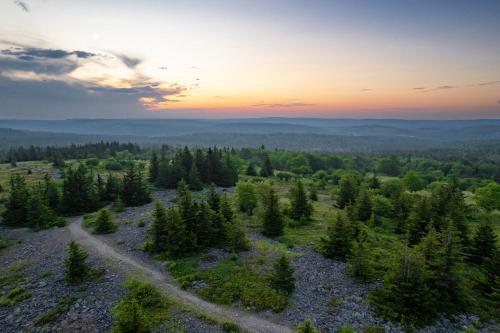 an aerial view of a forest at sunset at Panorama Point - Gorgeous views, hot tub, theater in Davis