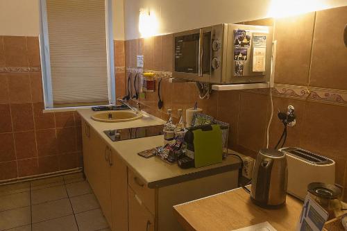 una pequeña cocina con encimera y fregadero en Anna Studio, en Brasov