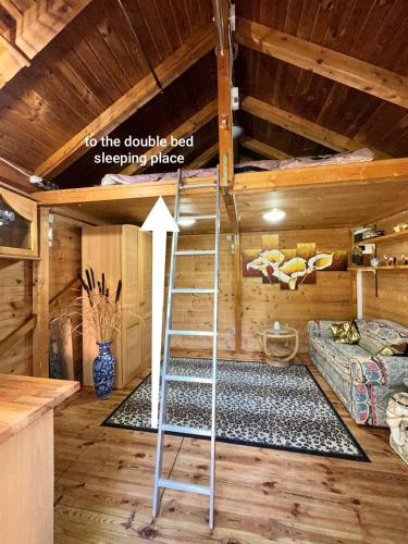 a ladder in a room with a bunk bed at Ferienhaus_natikrausz in Sankt Martin