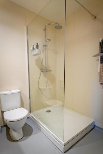 a bathroom with a shower and a toilet at Stay in Sigulda #16 in Sigulda