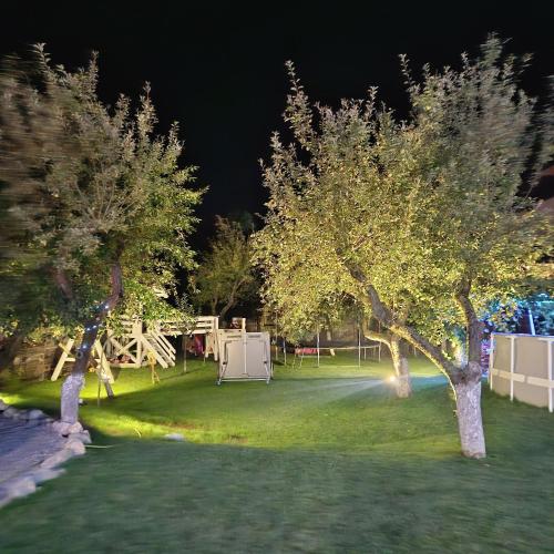 a garden with two trees and a picnic table at night at White House Moieciu in Moieciu de Jos