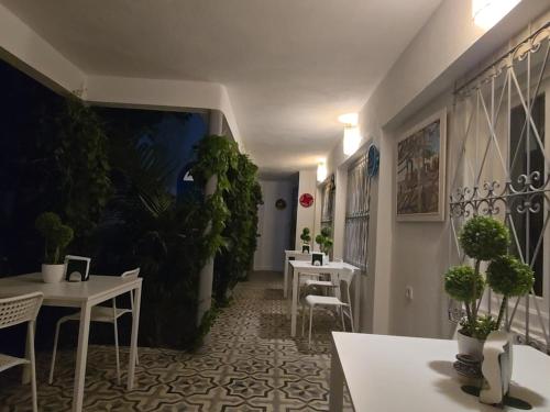 Φωτογραφία από το άλμπουμ του Riad Casa Luafi στο Τετουάν