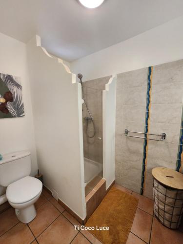 ein Bad mit einer Dusche, einem WC und einer Dusche in der Unterkunft Ti coco luce studio à Sainte Luce dans village de vacances in Sainte-Luce